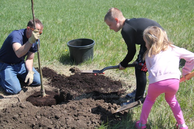 Henry, 9, and Emma, 5, Schuchmann, of Waukee, help plant a tree during The Brenton Arboretum's Earth Day Celebration on Sunday, April 21, 2024, near Dallas Center.
