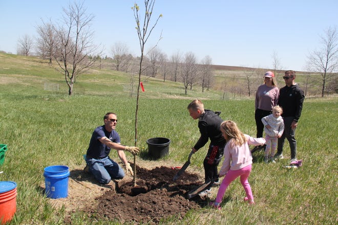 Henry, 9, and Emma, 5, Schuchmann, of Waukee, help plant a tree during The Brenton Arboretum's Earth Day Celebration on Sunday, April 21, 2024, near Dallas Center.