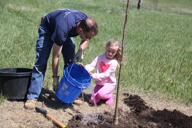 Andy Schmitz, director of horticulture at The Brenton Arboretum, helps Emma Schuchmann, 5, of Waukee, water a tree during an Earth Day Celebration on Sunday, April 21, 2024, near Dallas Center.