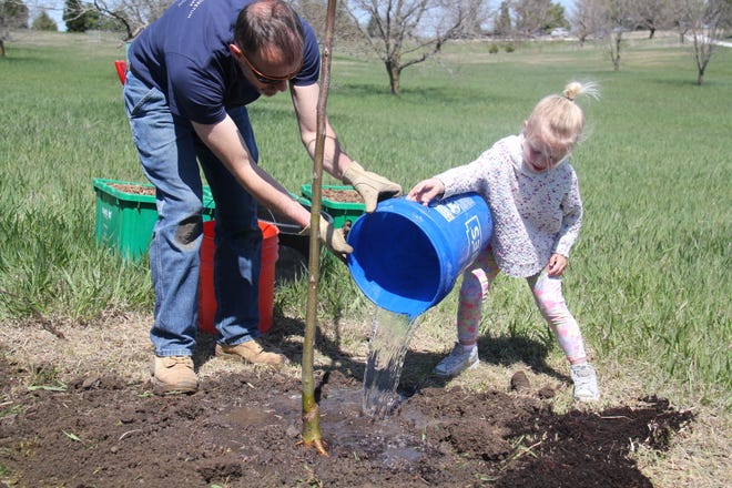 Andy Schmitz, director of horticulture at The Brenton Arboretum, helps Sophia Schuchmann, 3, of Waukee, water a tree during an Earth Day Celebration on Sunday, April 21, 2024, near Dallas Center.