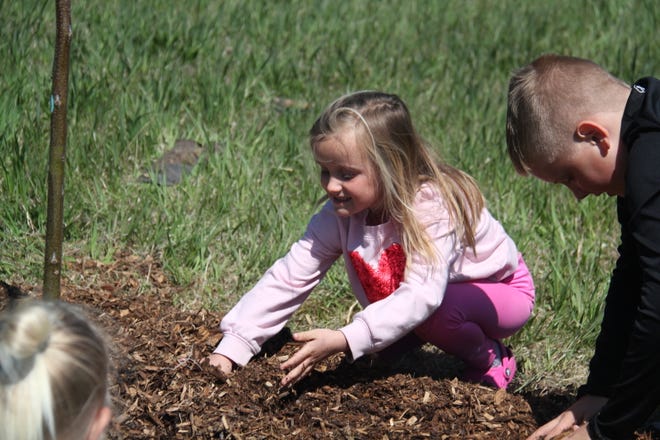 Emma Schuchmann, of Waukee, spreads mulch around the base of a tree during The Brenton Arboretum's Earth Day Celebration on Sunday, April 21, 2024, near Dallas Center.
