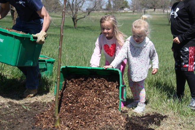 Emma, 5, and Sophia, 3, Schuchmann, of Waukee, spread mulch around the base of a tree during The Brenton Arboretum's Earth Day Celebration on Sunday, April 21, 2024, near Dallas Center.
